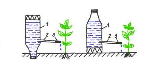 Капельный полив из пластиковых бутылок: как сделать своими руками и в чем преимущества способа